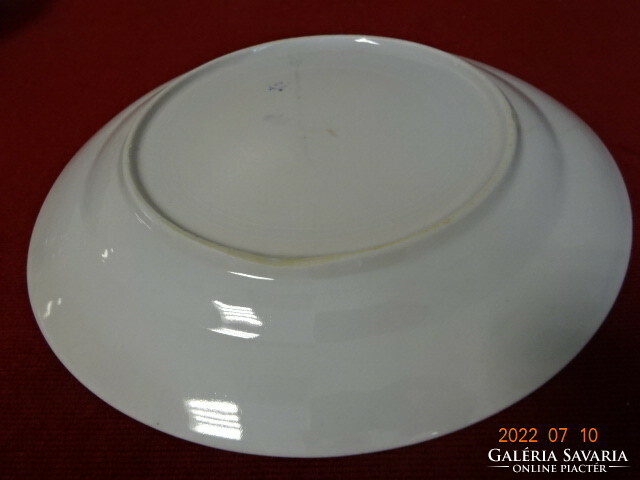 Zsolnay porcelain flat plate, antique, shield seal, yellow edge. He has! Jokai.