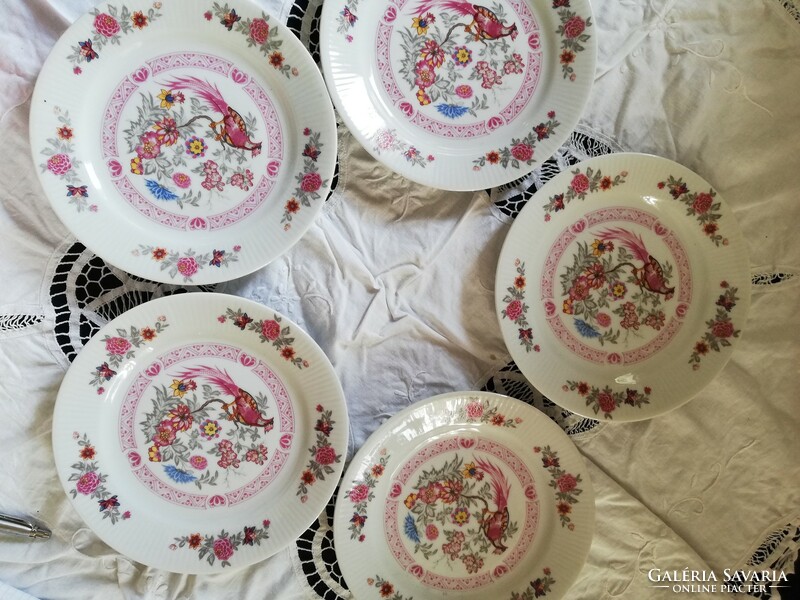 5 old German porcelain peacock and flower cake plates for sale!