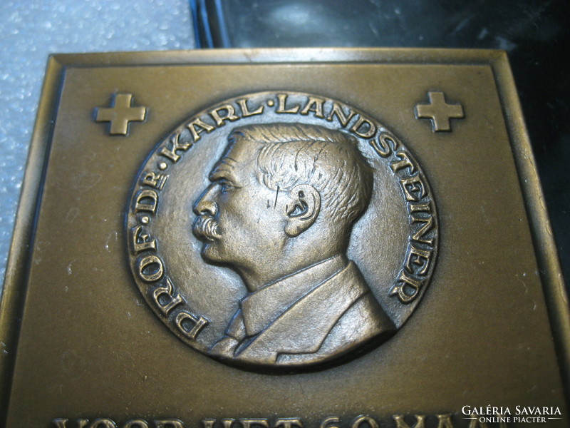 Dr Karl Landsteiner bronze plaque, plaque 62 x 82 mm