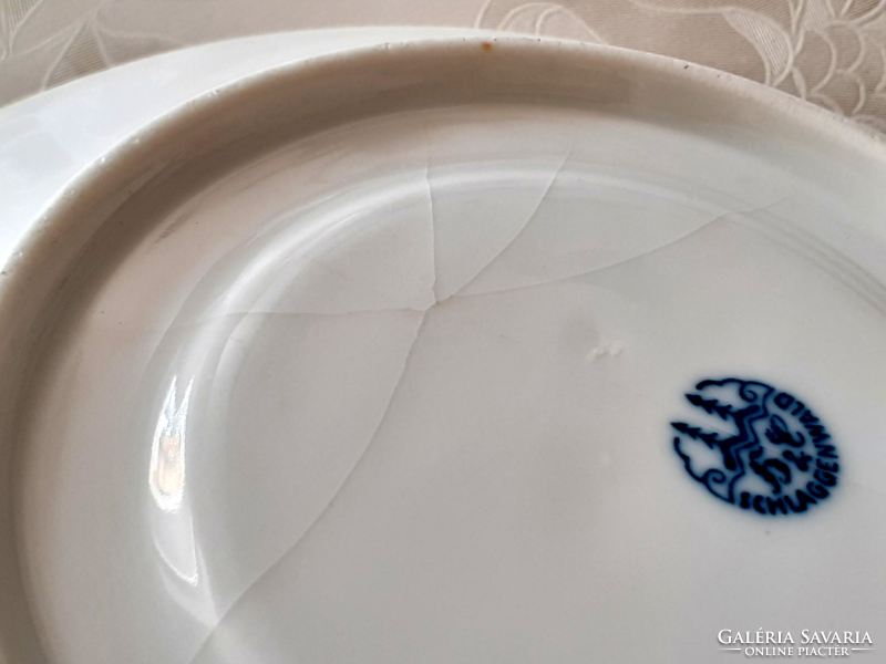 Régi Schlaggenwald porcelán virágos csészealj 2 db