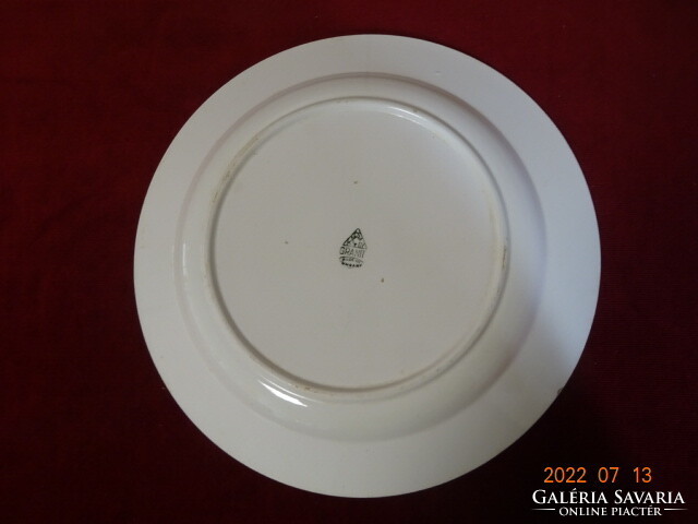 Granite porcelain round bowl, diameter 32.5 cm. He has! Jokai.