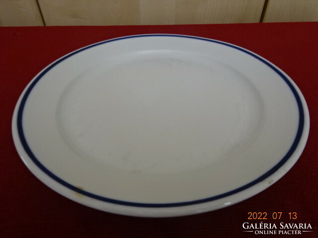 Alföldi porcelain blue striped flat plate. He has! Jokai.