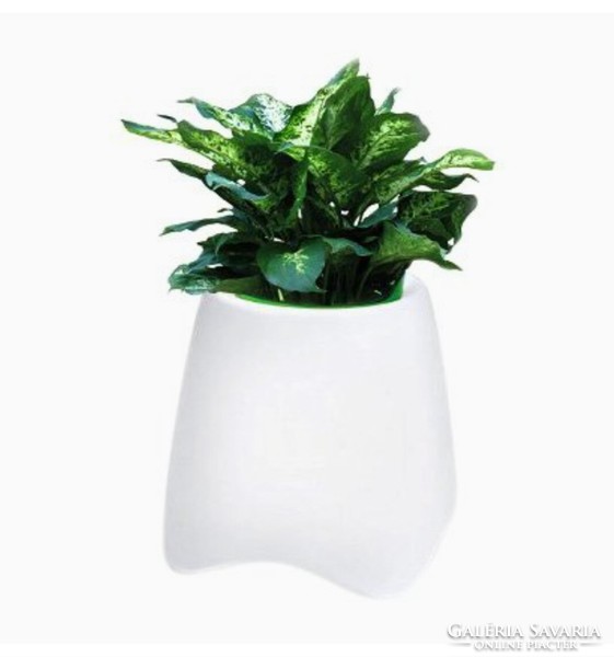 Muse brand electric color-changing mood light with built-in speaker and flower holder function