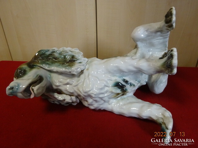 Román porcelán figura, Cocker spániel kutya. Vanneki! Jókai.