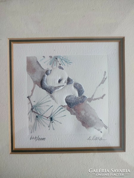 Bambusz evő pandát ábrázoló akvarell jelzett, sorszámozott kép - EP