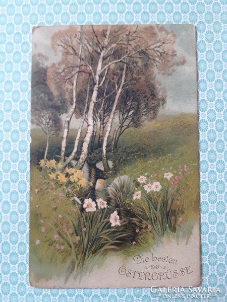 Régi húsvéti képeslap 1917 tavaszi tájképes levelezőlap nyírfa nárcisz