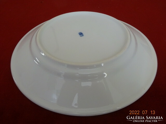 Zsolnay porcelain flat plate, blue striped. He has! Jokai.