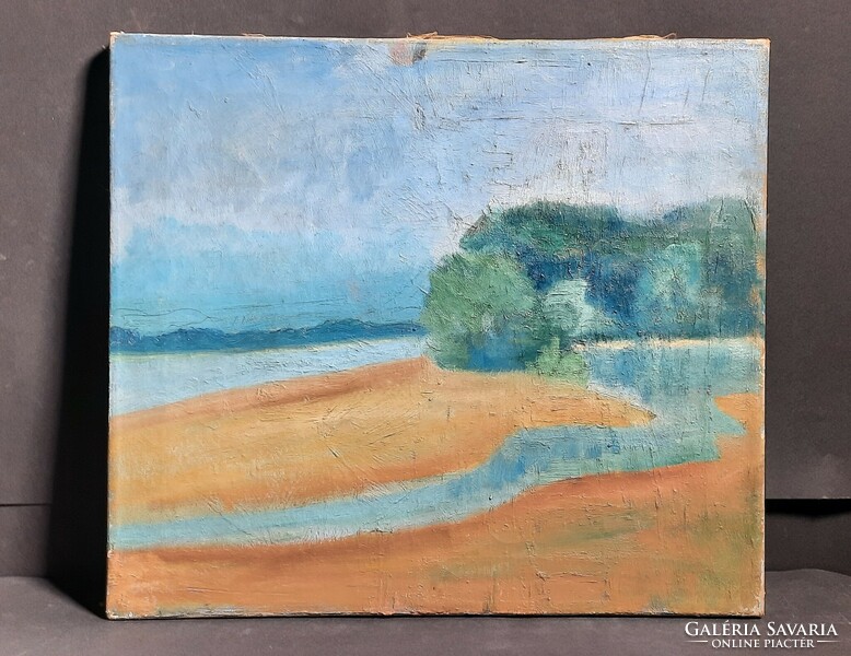 Désső Orbán: waterfront landscape (old oil canvas marked, 40x35 cm)