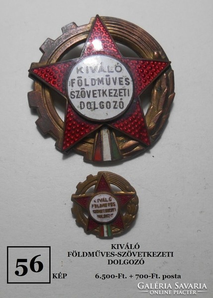 Kiváló FMSZ. dolgozó