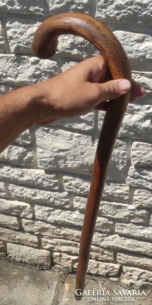 A wonderful stick created by nature, walking stick, thick trip, hiking, even help with health care. Video!