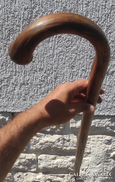 A wonderful stick created by nature, walking stick, thick trip, hiking, even help with health care. Video!