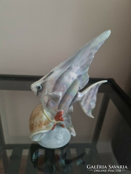 Drache Kispest porcelain Temger fish with shells