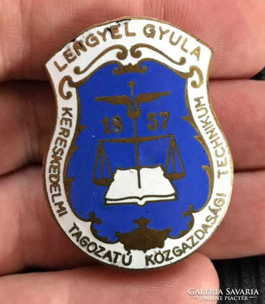 Gyula Polengyel Commercial School of Economics - cap badge, badge