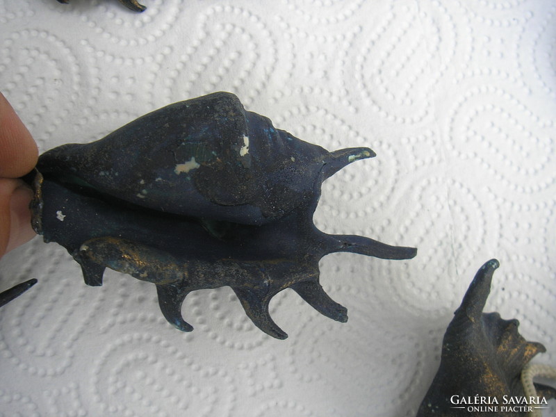 Dekor kagyló-tengeri csiga 10darab