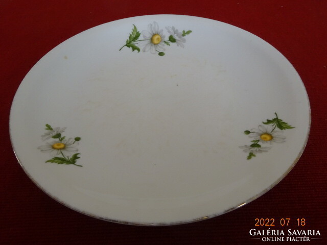 Lowland porcelain small plate with daisy pattern. He has! Jókai.