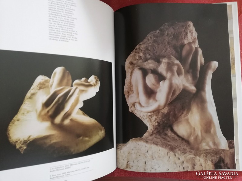 Rodin Képzőművészeti könyv