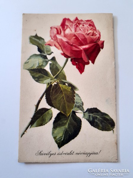 Old floral postcard rose postcard