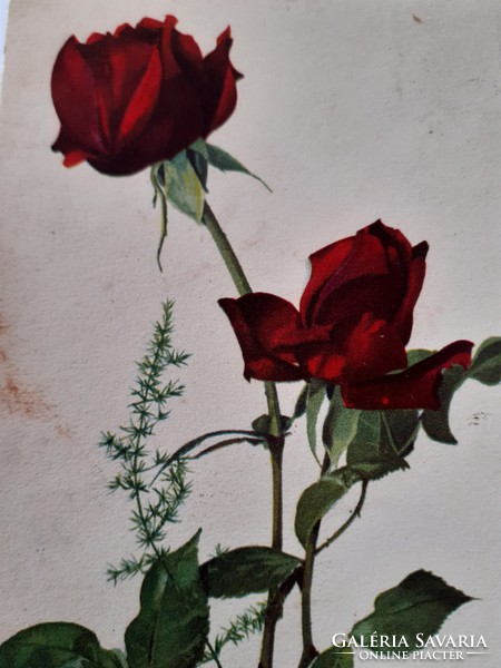 Régi virágos képeslap vörös rózsás levelezőlap