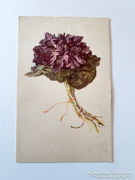 Old floral postcard violet postcard