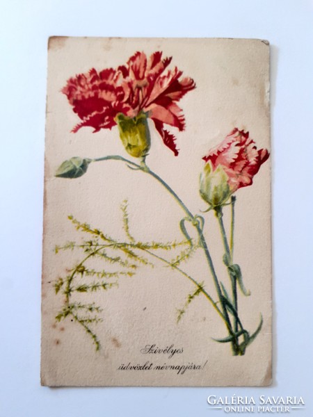 Old floral postcard carnation postcard
