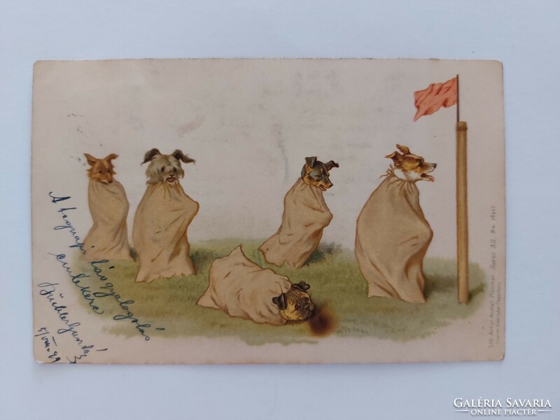 Régi képeslap 1899 művészeti levelezőlap kutyák zsákbanfutás