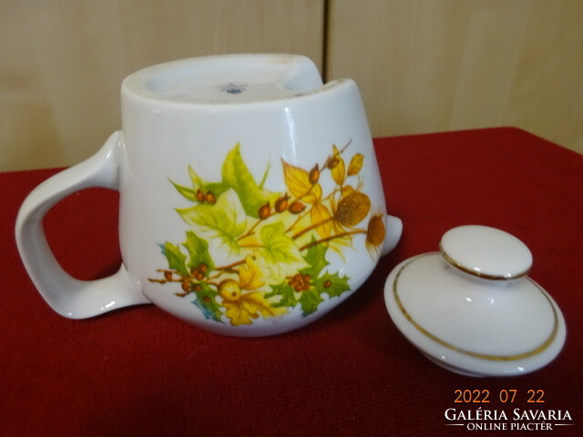 Hollóháza porcelain coffee maker spout, serial number: 215. Vanneki! Jokai.