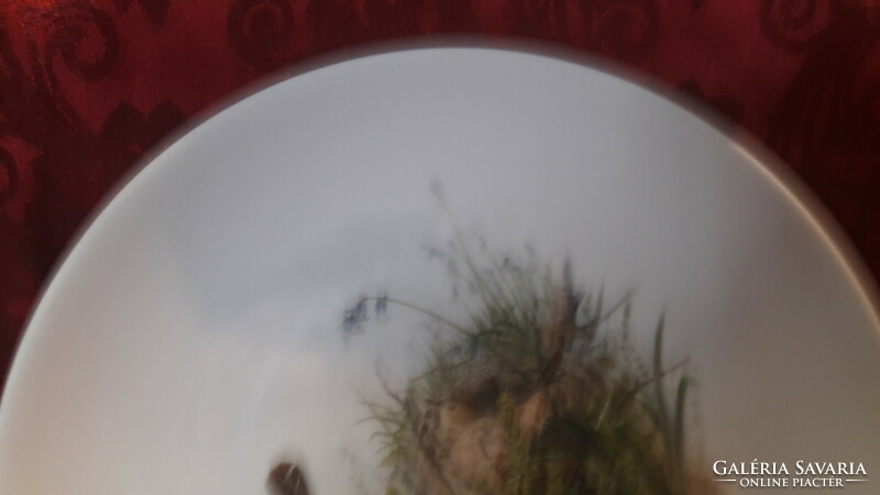 Poszátás porcelán tányér, madaras falitányér (L2576)