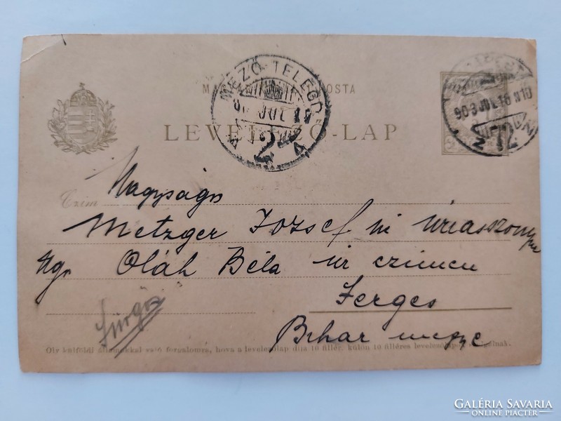 Régi képeslap 1903 levelezőlap kecske