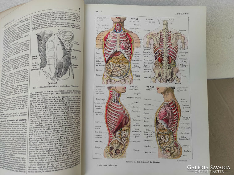 Antik orvosi könyv larusse 1925 francia nyelvű 6827