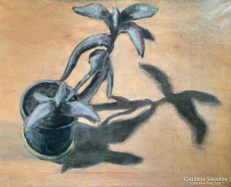 Still life of plants from above (oil, canvas, 40x50 cm) Graber style?