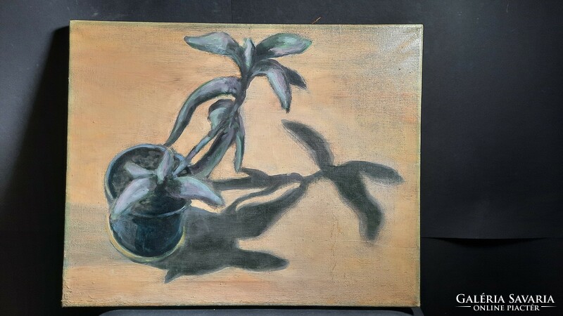 Still life of plants from above (oil, canvas, 40x50 cm) Graber style?