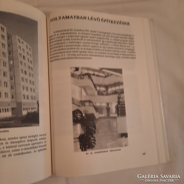 Gerlényi László: A székesfehérvári Szent György Kórház története  1993