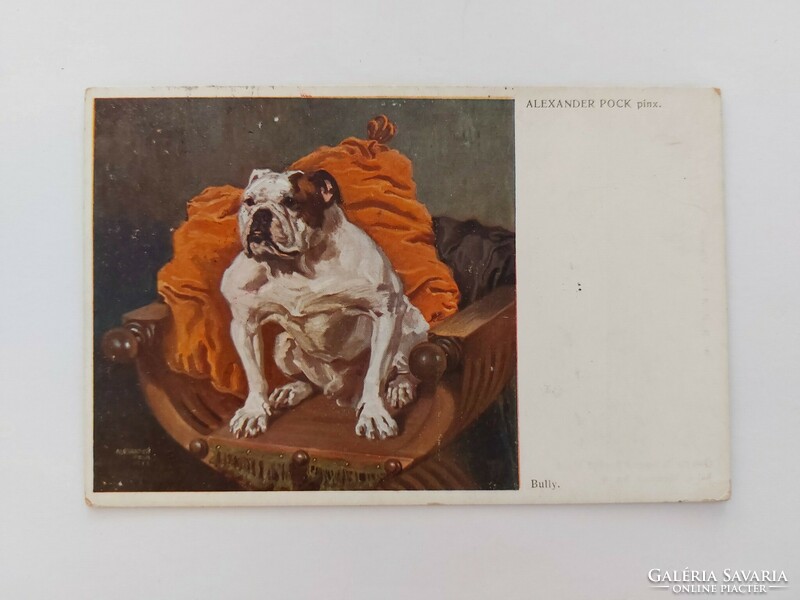 Old postcard art postcard bulldog