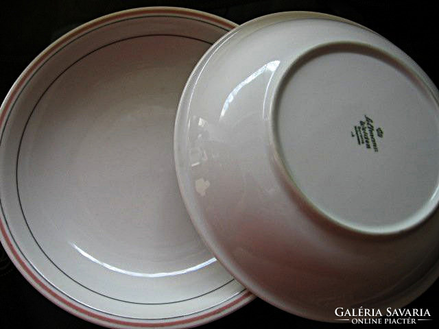 2 seltmann weiden elegant soup and vegetable plates in one