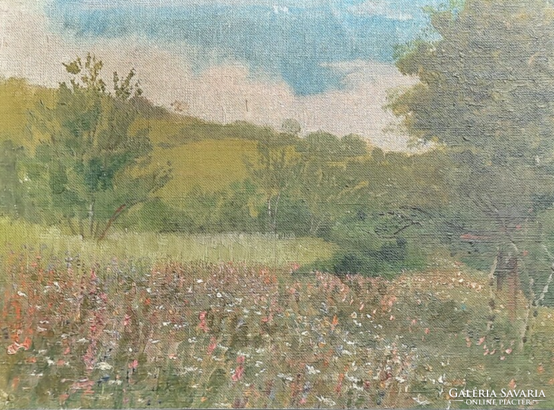 Flower field (old oil painting, canvas) landscape