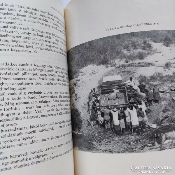 Széchenyi Zsigmond: Afrikai tábortüzek, 1966
