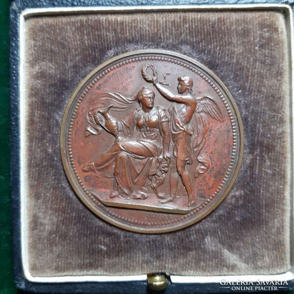 Leisek: Trieste industrial art exhibition 1891, medal in original box