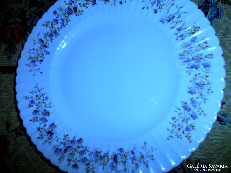 Antik kézzel festett virágfüzéres tányér 24,5 cm