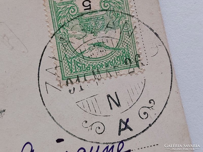 Régi képeslap 1919 konyhai csendélet levelezőlap kagyló szőlő dió