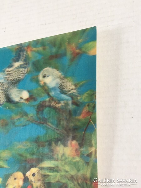 2 post-clean vintage, retro 3d bird postcards