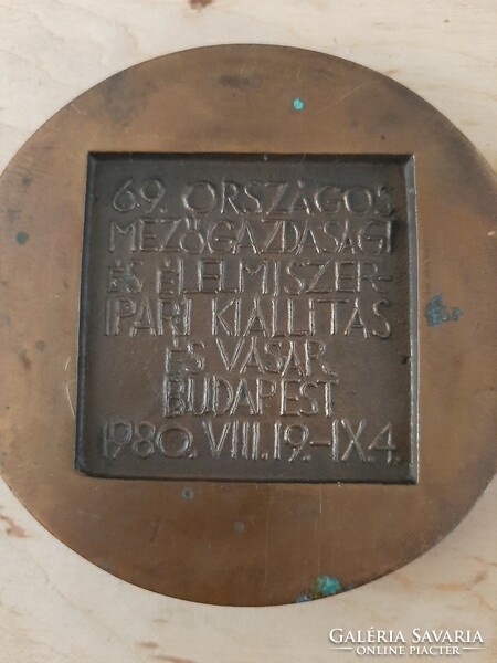 Omék 1980 Róbert Csíkszentmihályi bronze commemorative plaque