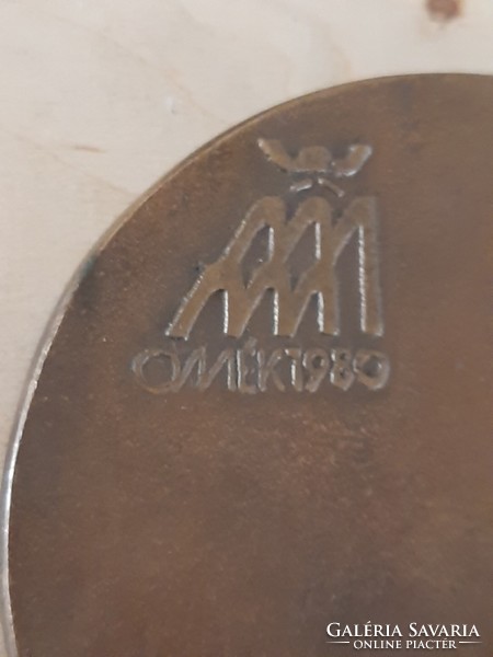 Omék 1980 Róbert Csíkszentmihályi bronze commemorative plaque