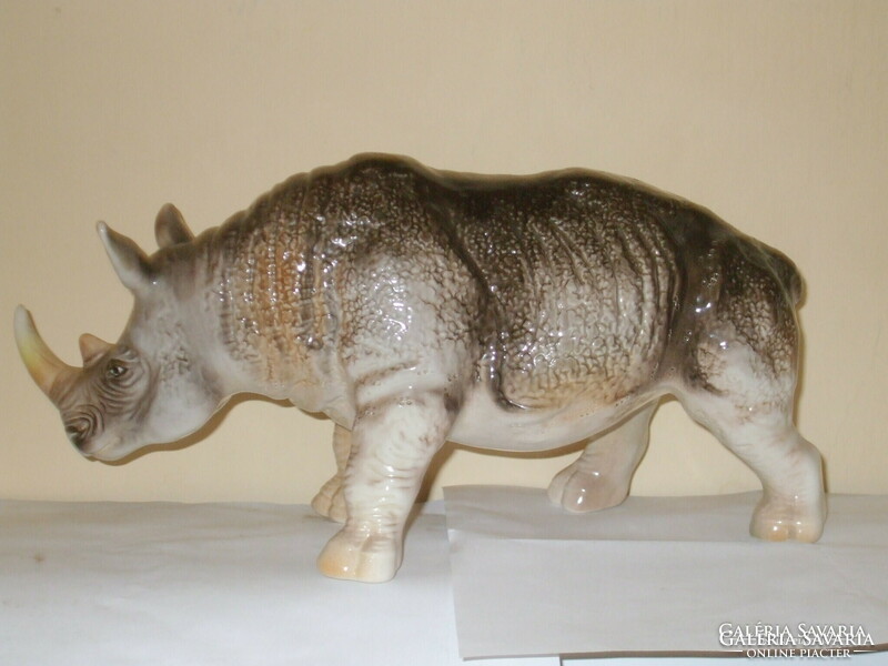 Cluj's large rhinoceros