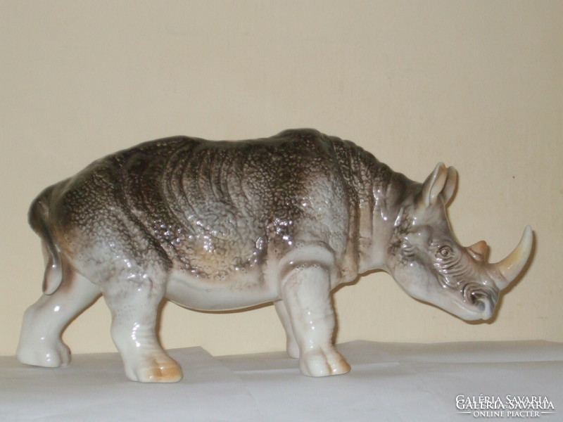 Cluj's large rhinoceros