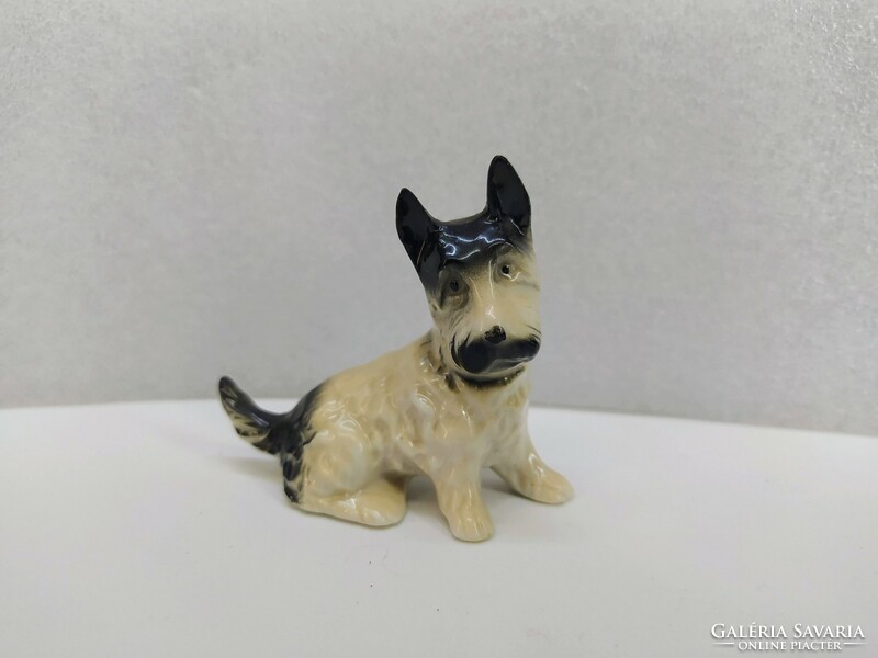 Porcelán Terrier