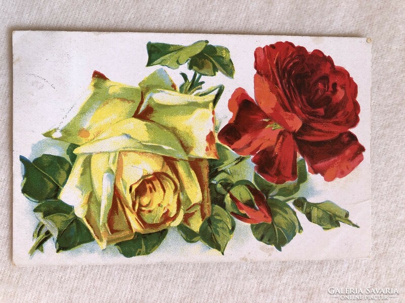 Antik Rózsa virágos litho képeslap - 1924