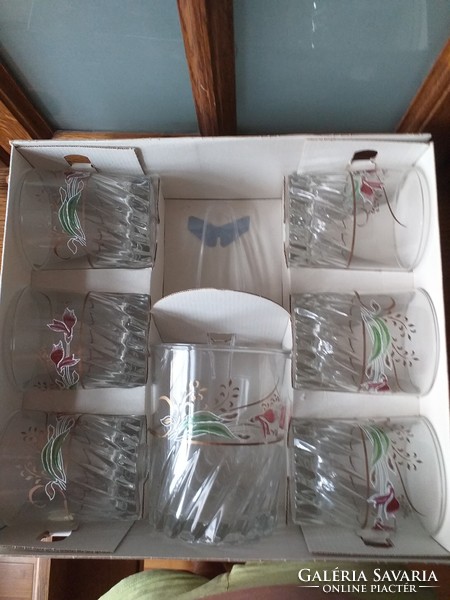 New set of 6 glasses with ice holder