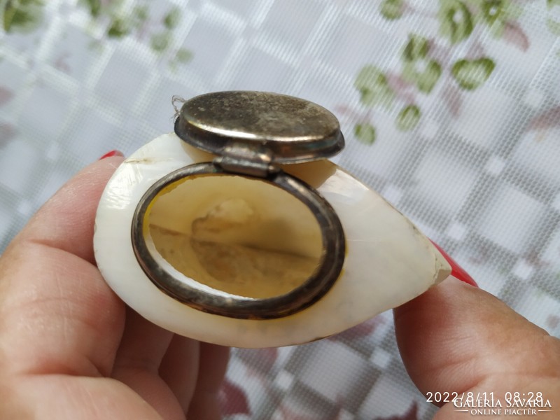 Shell pendant, small gift box for sale!