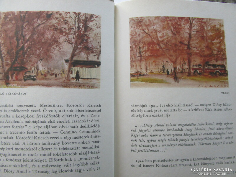 1978 Károly Pereházy: the city park Budapest with Diósy Antal's watercolors and black and white pictures