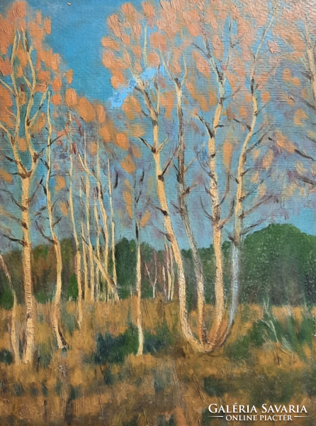 Birch trees (oil, cardboard, with frame 38x31 cm) unidentified artist - peaceful forest landscape